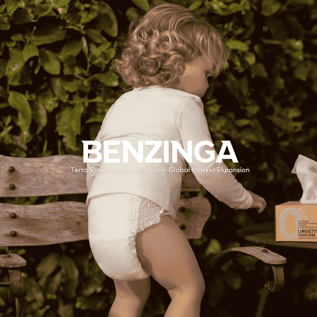 terra recognize by benzinga
