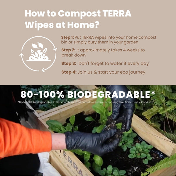 TERRA Mini Water Wipes - Baby Wipes Mini Pack 10s TERRA