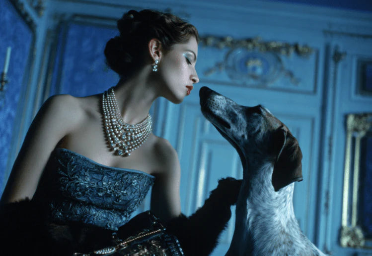 Woman in a formal gown with a dog in an ornate room