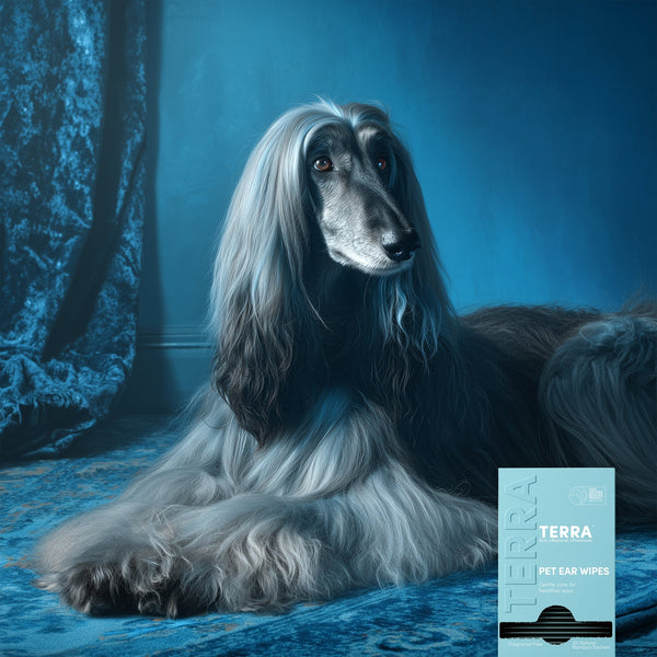 Terra Pet Ear Wipes TERRA NZ