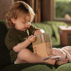 TERRA Dry Baby Wipes 48s