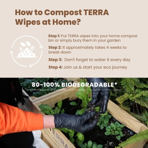 TERRA Dry Baby Wipes 48s