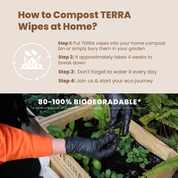 TERRA Dry Baby Wipes 48s